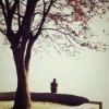 阿哲代练-代摘经验花