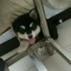 点点2y海报