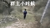 ℒ❤潇洒鸟❀主播照片