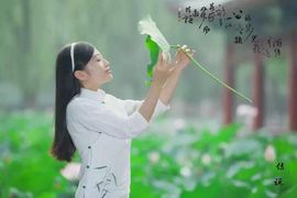 茶筝雅韵7主播照片