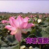 吴名？？？海报