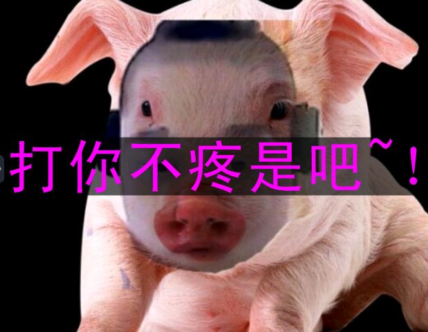 dゾao〆戦无道的主播照片