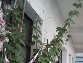 我好爱你你好满意主播照片