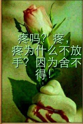 蚀骨💕冷美人主播照片