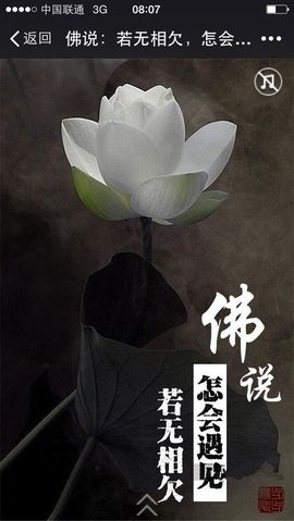 冰爷守护辰宝主播照片