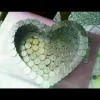 茶庄d