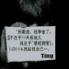 醉笑红尘~梦自醉海报
