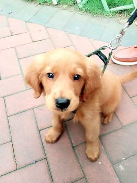 @美少女主播照片