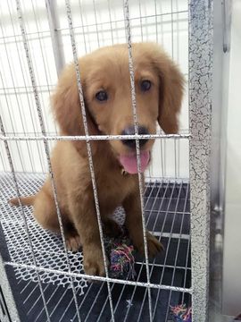 @美少女主播照片