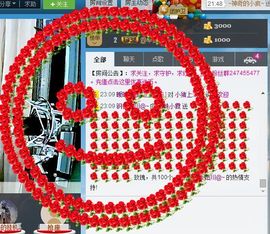 Ⅶゞ★小小主播照片