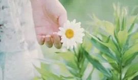 冰爷守护辰宝主播照片