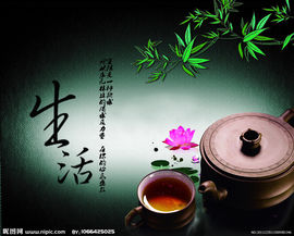 ╰゛•.主播照片