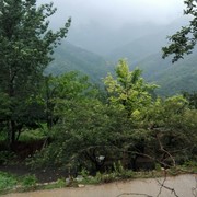 微信_0328922的头像