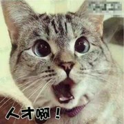 微信_0418659