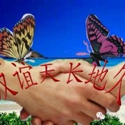 微信_0506019