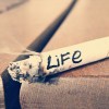 42、正了八经的小爷海报