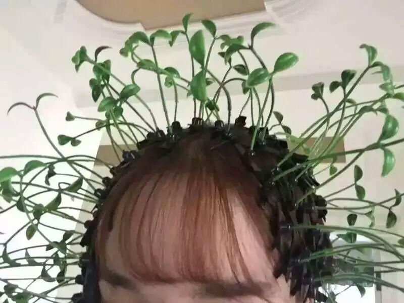 Ⅶゞ★美凉主播照片