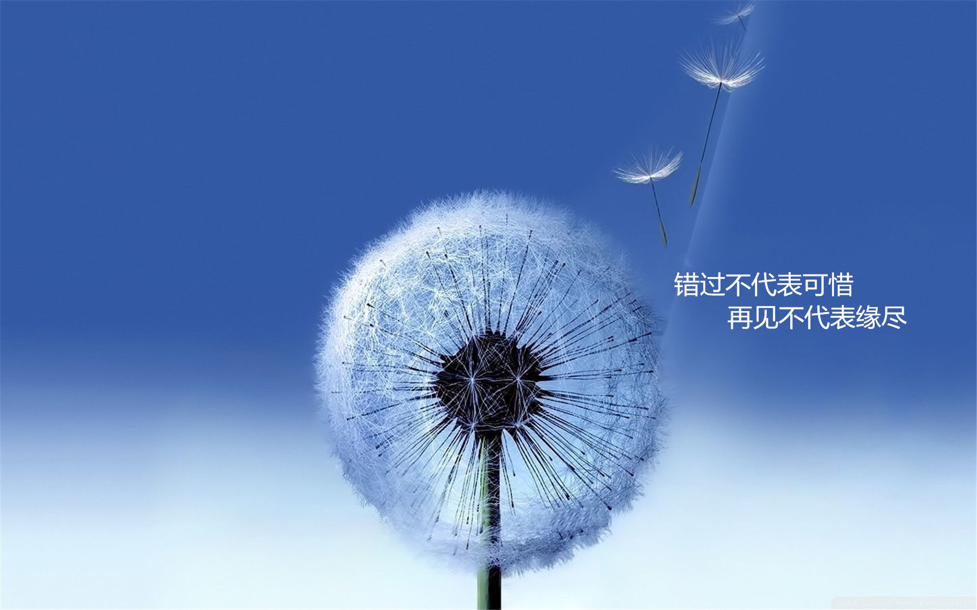 是在下输了主播照片