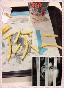 祁风立树主播照片