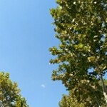 七间谍海报