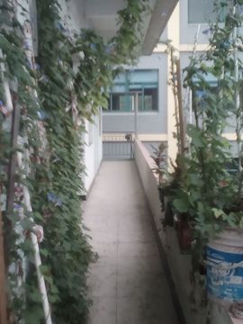 我好爱你你好满意主播照片