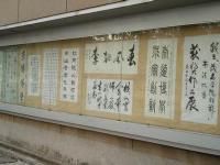 倒作画家百事通室主播照片