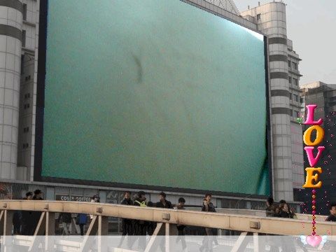 潇洒哥81主播照片