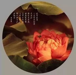冰爷守护辰宝主播照片