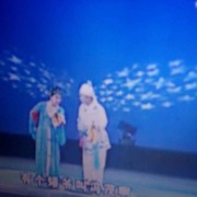 辉哥1234海报