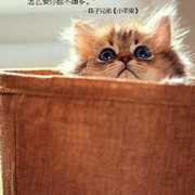 微信_0720151