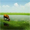 鑫，勿忘我海报