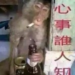 猴子派来的欠登