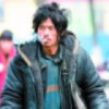 伤心无泪zc海报