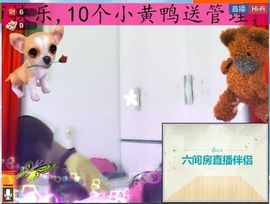 性感的模特姐妹主播照片