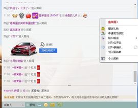 性感的模特姐妹主播照片