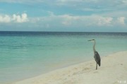 微信_3731396海报