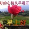 潜水！游客