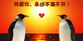 梦幻の❤の跟💏班主播照片