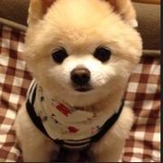 ゞ无情ゞ