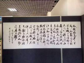 ✨星光不问赶路人💫主播照片