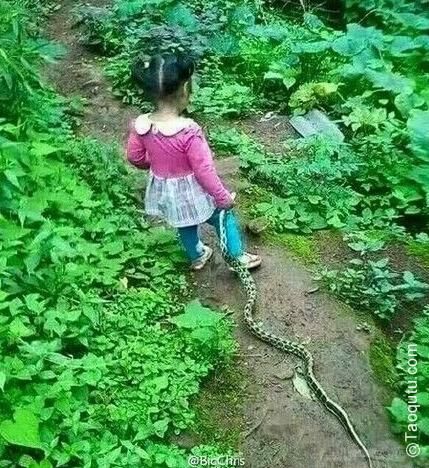 ♬♪IQ密码多少♪♬主播照片