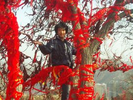 嘵灵仙主播照片
