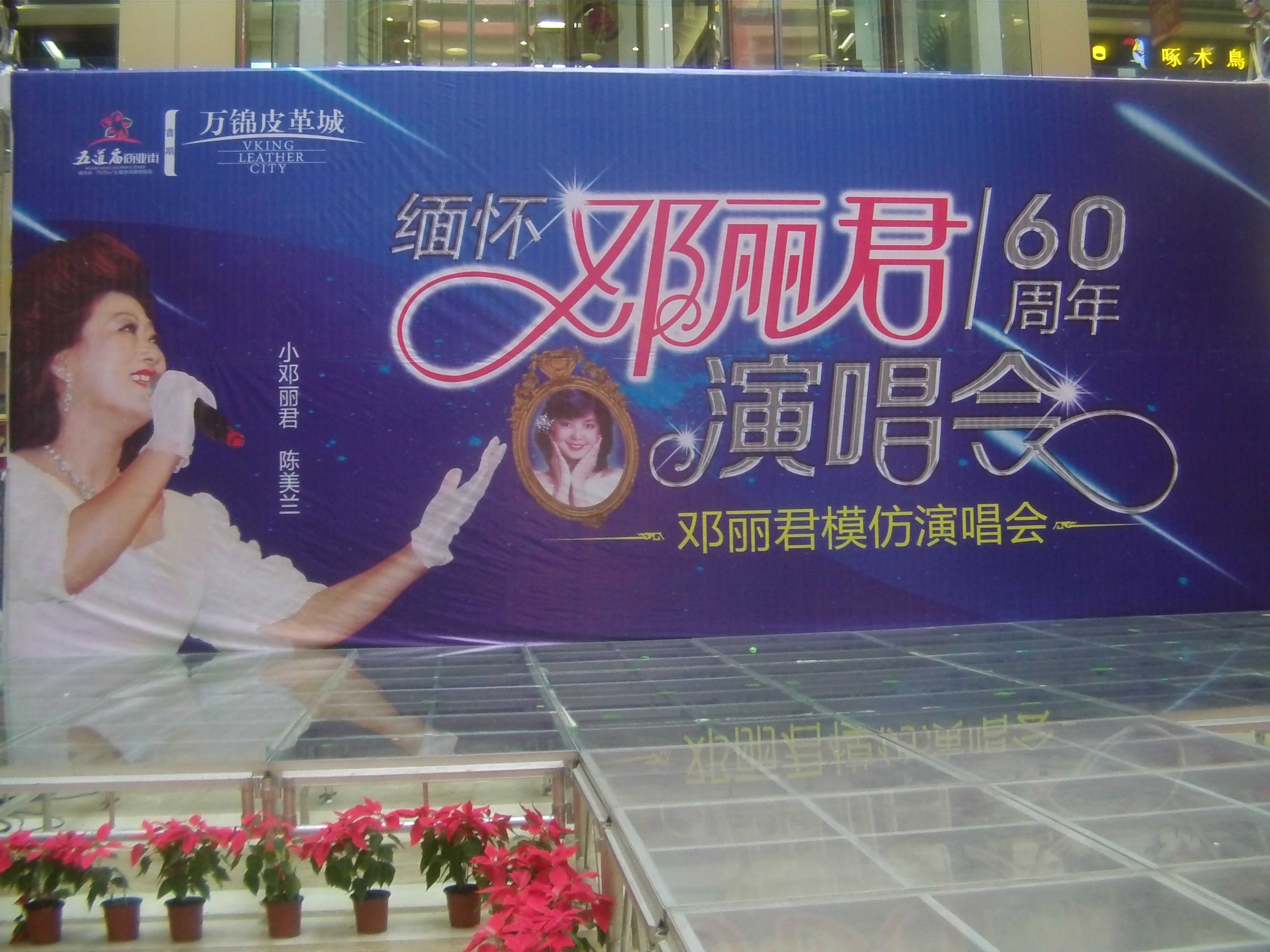 山东省歌后小邓丽君主播照片