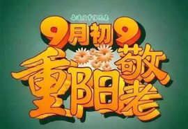 小鱼儿小白鲨主播照片