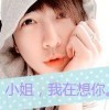 山有木兮木有枝t海报