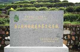 雷★刚主播照片