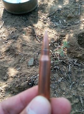 混血宝贝主播照片