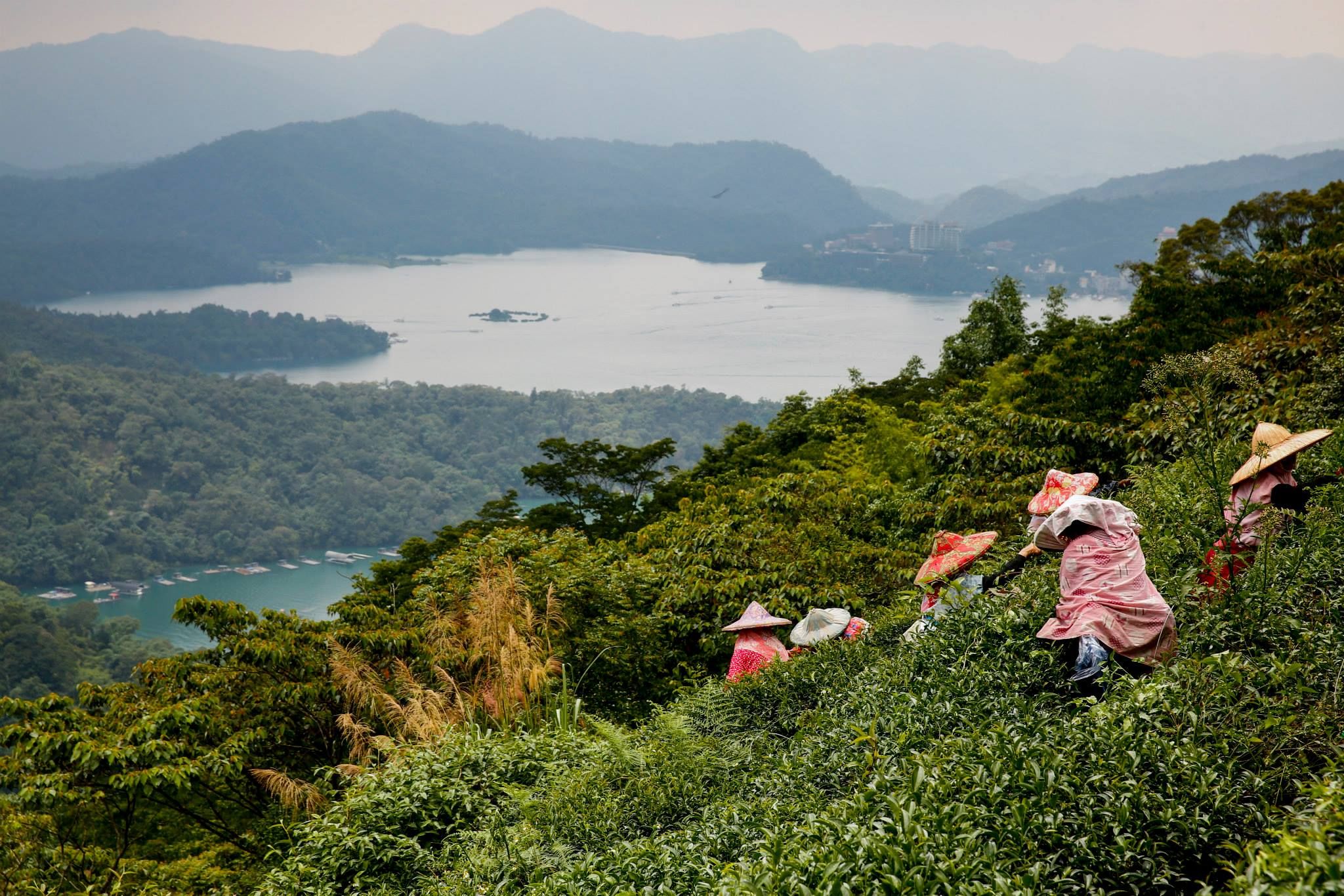 阿肥雷逗的主播照片