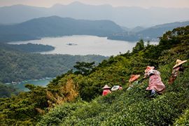 阿肥雷逗主播照片