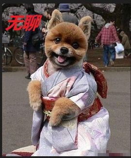 👑女神👑+好无聊主播照片